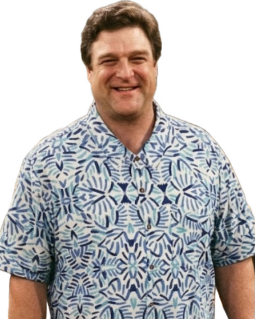 A smiling man wearing a short-sleeve button-up shirt with a blue, white, and light teal geometric pattern, set against a plain white background.